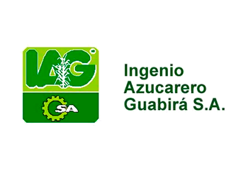Cliente 6